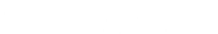 Metro Motors
